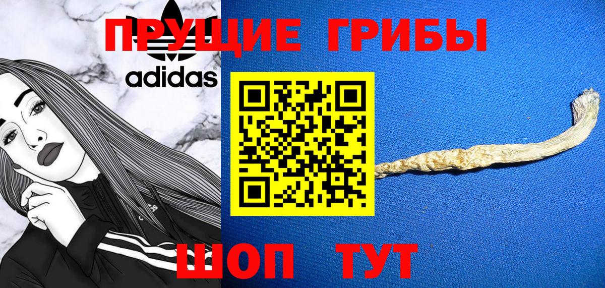 Галлюциногенные грибы MAGIC MUSHROOMS  Псилоцибиновые грибы GOLDEN TEACHER  Луховицы  Вход с VPN 